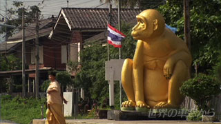 $B%m%C%V%j!<1X$G8+<i$k%5%k$NA|(B