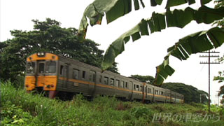 $B%?%$KLIt$NED<K$r6n$1$kNs<V(B