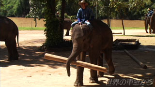 $BJ]8n%;%s%?!<$G?7$7$$5;$r?H$K$D$1$k%>%&(B