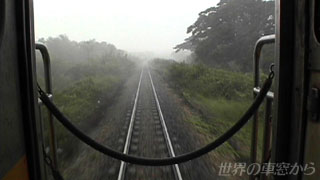 $BNs<V$N8e$m$+$i8+$?1+$N7J?'(B