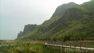 $B%+%*!&%5%`!&%m%$!&%h!<9qN)8x1`$N7J?'(B