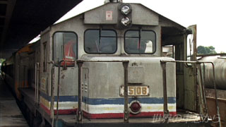 $B%Q%@%s!&%Y%5!<%k1X$GIU$1BX$($i$l$?%^%l!<%7%