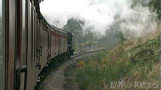 $B%T%C%+%j%s%0$K8~$+$C$FAv$kNs<V(B