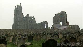 $BKL3$3$4_$K$=$S$($kGQ5u$NAN1!(B