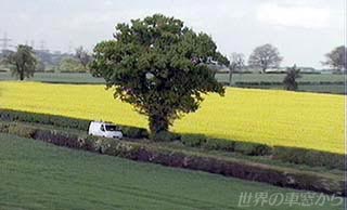 $B<VAk$K9-$,$k:Z$N2V(B