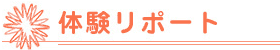 �̌����|�[�g
