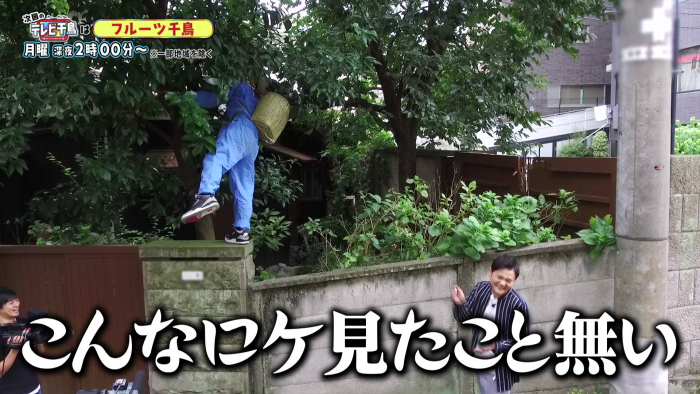 <p>フルーツ千鳥</p>