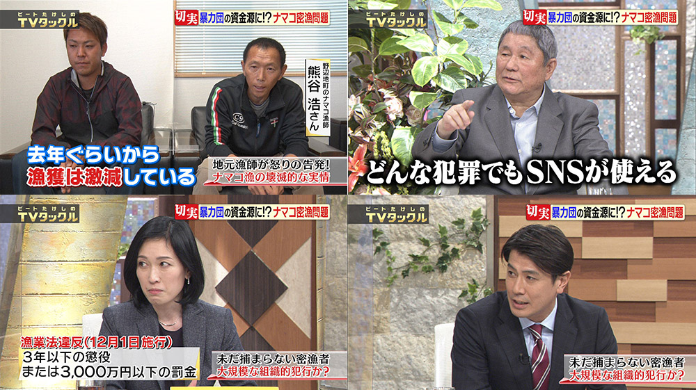 タックル Tv