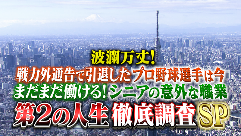 波瀾万丈！戦力外通告で引退したプロ野球選手は今
まだまだ働ける！シニアの意外な職業
第2の人生 徹底調査SP